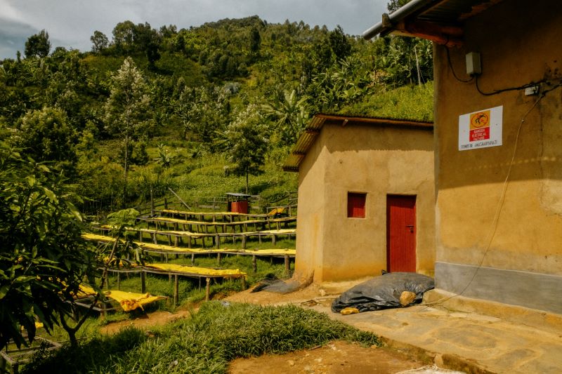 Gitwe, Rwanda (very low stock) – Roasting House