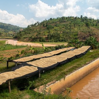 Drying beds in Burundi