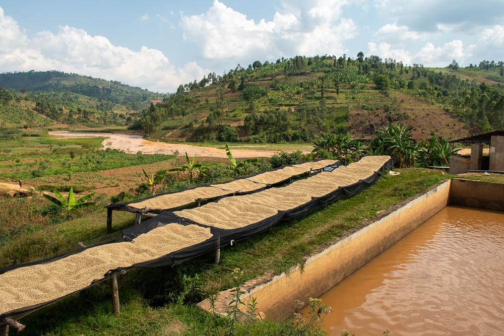 Drying beds in Burundi